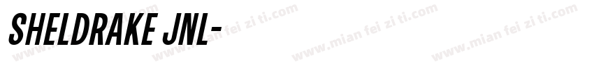 Sheldrake JNL字体转换
